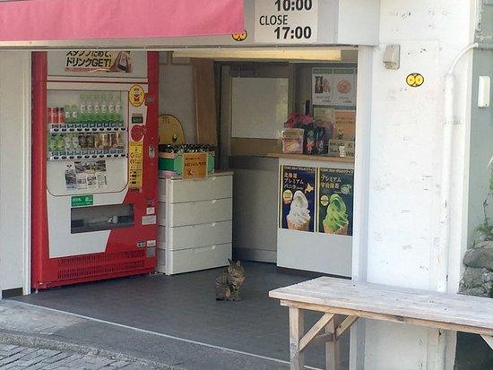 World's Second Best Freshly Baked Melonpan Ice-cream Hakodate Motomachi